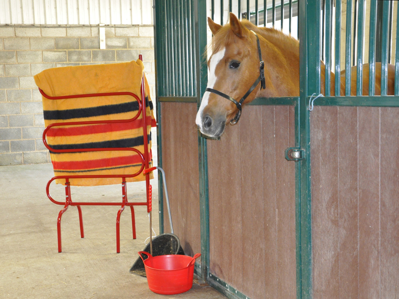 Bennington Rug Drier Medium Bennington Carriages